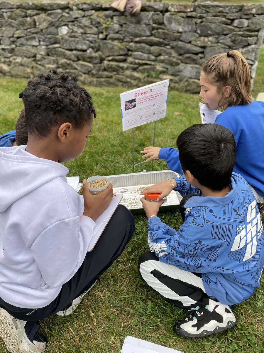 MsP_Danielle09's tweet photo. We had a blast on our Blandy field trip today! We learned more about the trout life cycle! We also printed fish, learned about food chains, and how sediment affects our environment! @CESGoPanthers @CCPS_VA https://t.co/TGTkavUDV0