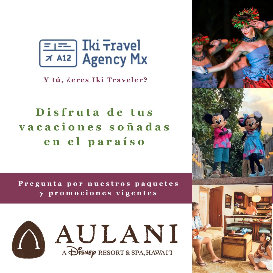 ikitravel_mx's tweet photo. 🌺Disfruta de unas vacaciones diferentes en el paraíso
Aulani es el primer resort & spa de Disney situado en Hawaii donde podrás disfrutar de una estancia inolvidable con la calidad Disney
#ikitraveler #Disney #Viajes #TravelAgency #aulani #hawaii #resot #spa https://t.co/9QDYgvln0c