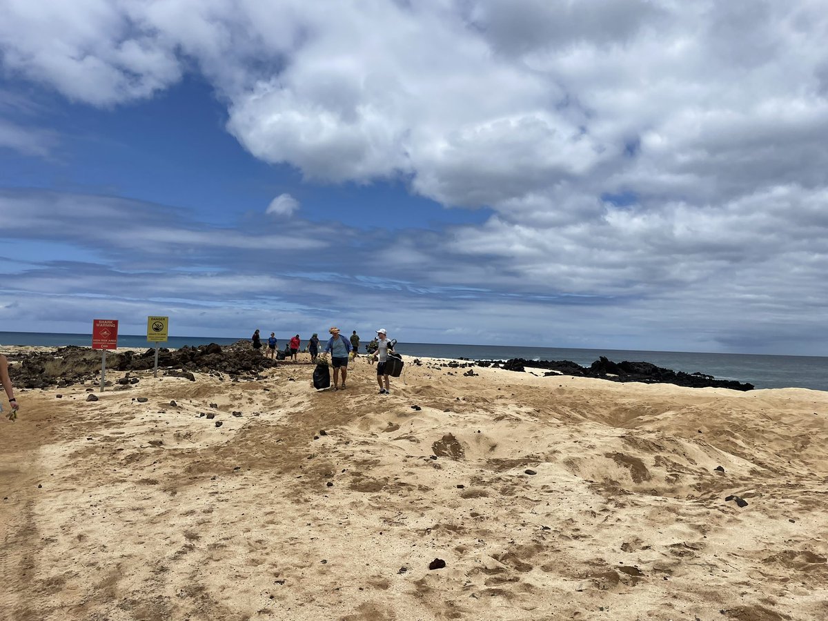 ZSLMarine tweet media