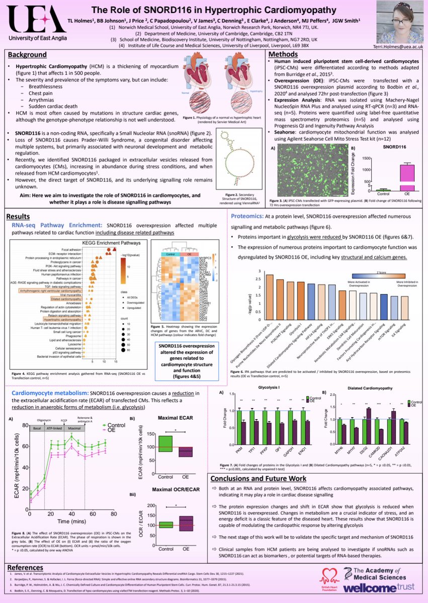 Had a great time at #LSCN2022 with <a href="/SmithLabUEA/">Smith Lab UEA</a> and <a href="/BenBlakeleyJ/">Ben Johnson</a> presenting my poster on #ipsc #cardiomyocytes 🧫👩‍🔬🥼