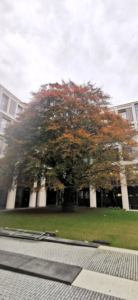 MeanwhileDa's tweet image. Some nice things can happen @TUDublin_Intl @Archi_TUDublin