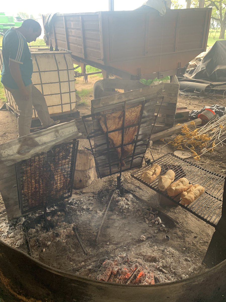 Jornada de pasturas con todo el personal ganadero y el equipo de <a href="/PGGWrightson_AR/">PGG Wrightson Seeds Argentina</a> . Esperando la lluvia 🌧 y terminando con un asado. <a href="/mauro_calandri/">Mauro calandri</a>