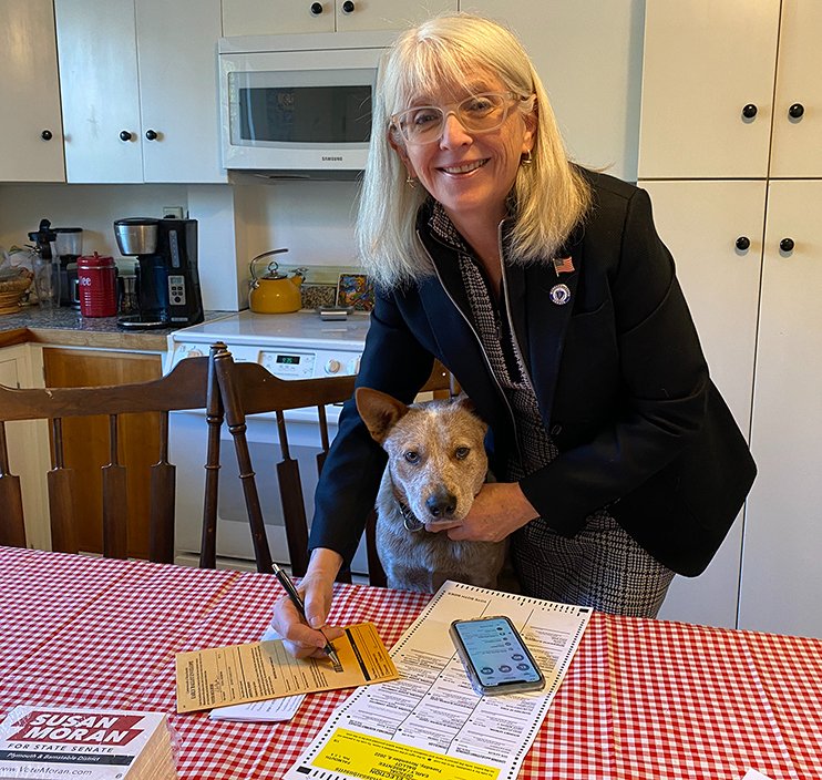 Vote_Moran's tweet photo. I am running for re-election as your State Senator for the Plymouth &amp; Barnstable District and humbly ask for your vote for me in the November 8th Election.  Learn more at https://t.co/djvvzVN5Cx https://t.co/kfDf53iFEg