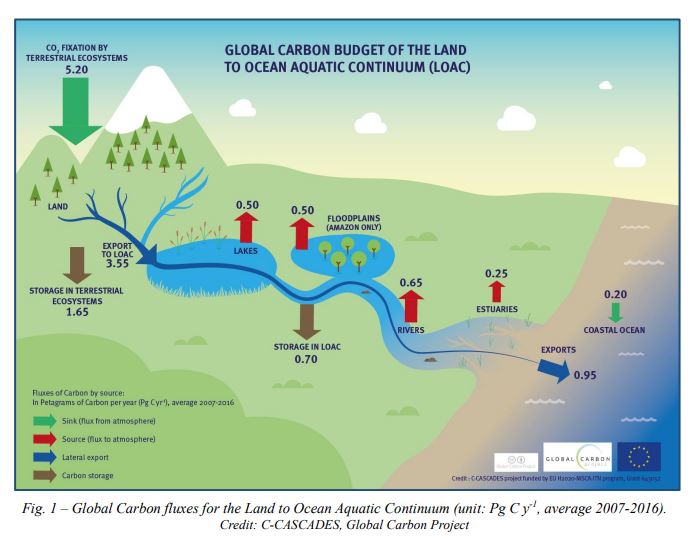 1. Tuesday 🧵PART 2. Before we talk about #ClimateChange, we might have a look at what happens to all the #Carbon coming off the bogs and into the rivers and lakes, i.e. the transport of terrestrials stores of Carbon to the sea. This is a great infographic from the @c_cascades