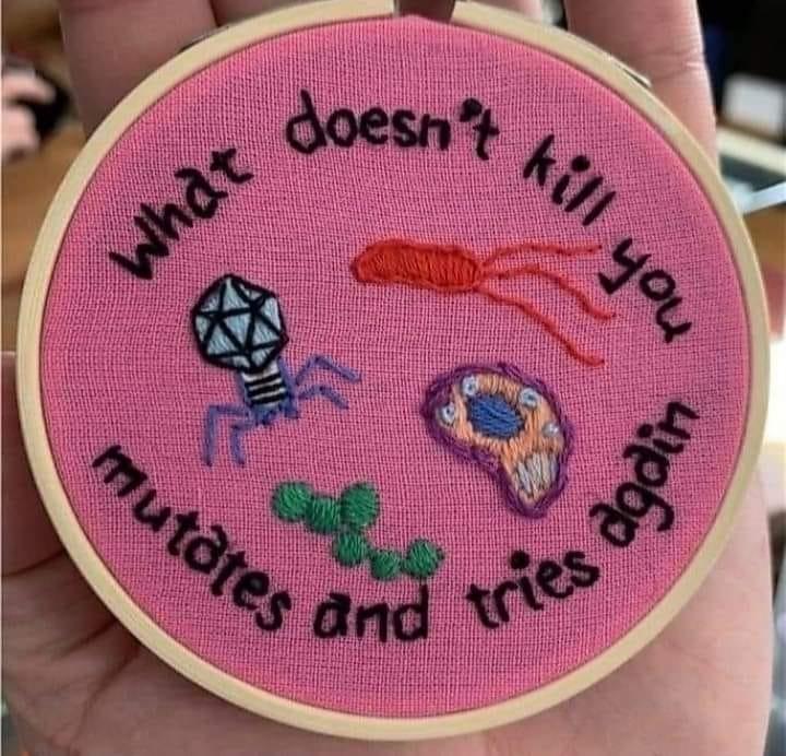 markowenmartin's tweet photo. Surprisingly, I don't have one of these on my lab wall. https://t.co/GmxT7BA3YS