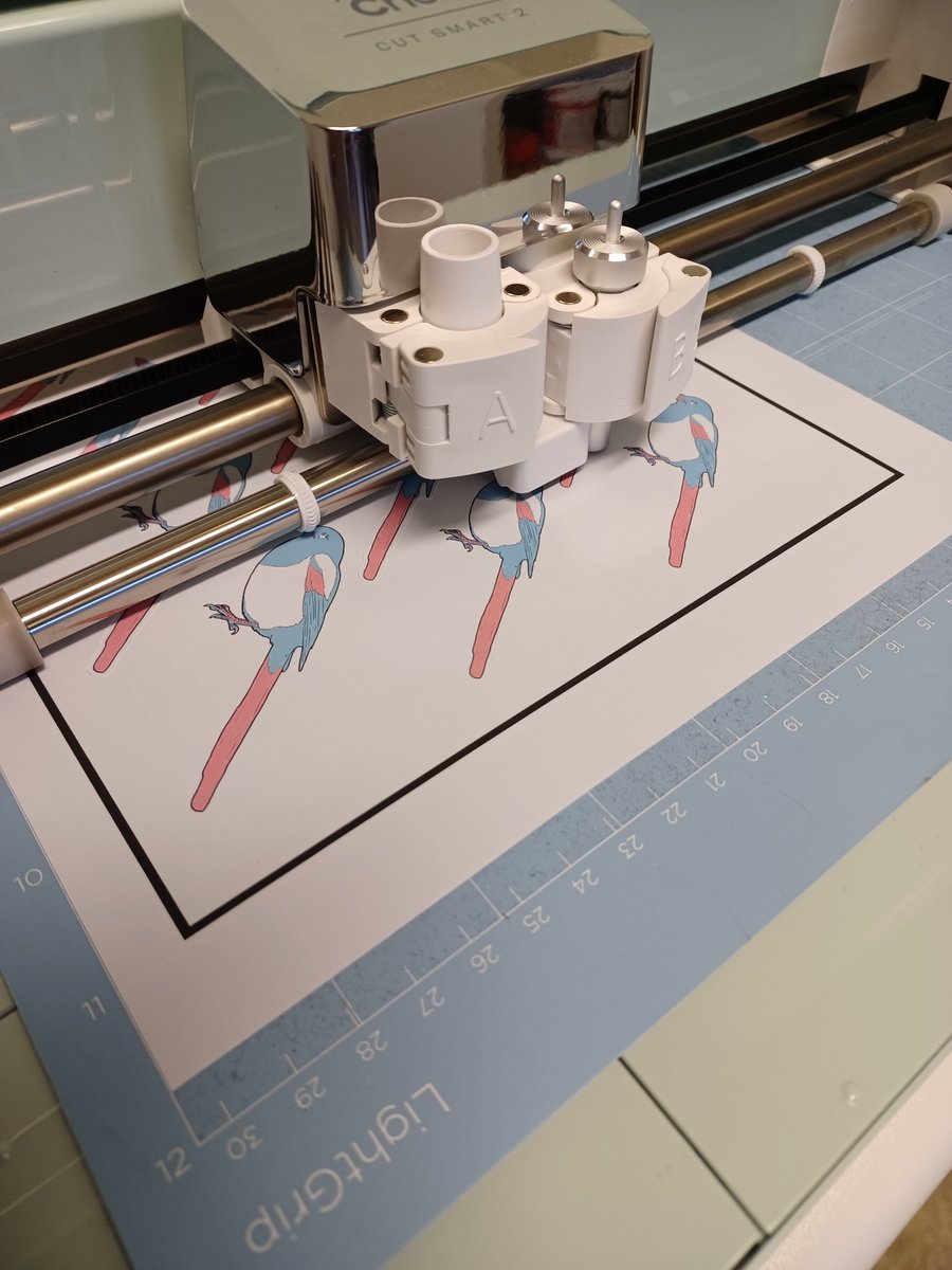 Empan85's tweet photo. Finally my new cricut is obeying me! bought a new blade for her and now she cuts like a charm! Been cutting some new stickers all morning! theres definatly going to be more Pride &amp; Nonbinary &amp; Trans magpies at Närcon Winter 2023! So looking forward to that -if- i catch a ticket! https://t.co/yxY4LQjWbz