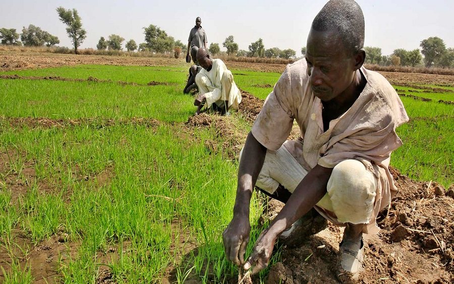 EkunDAYO On Twitter This Is Crazy we Are Arguing If Mechanized Farming Is Better Than Manual 