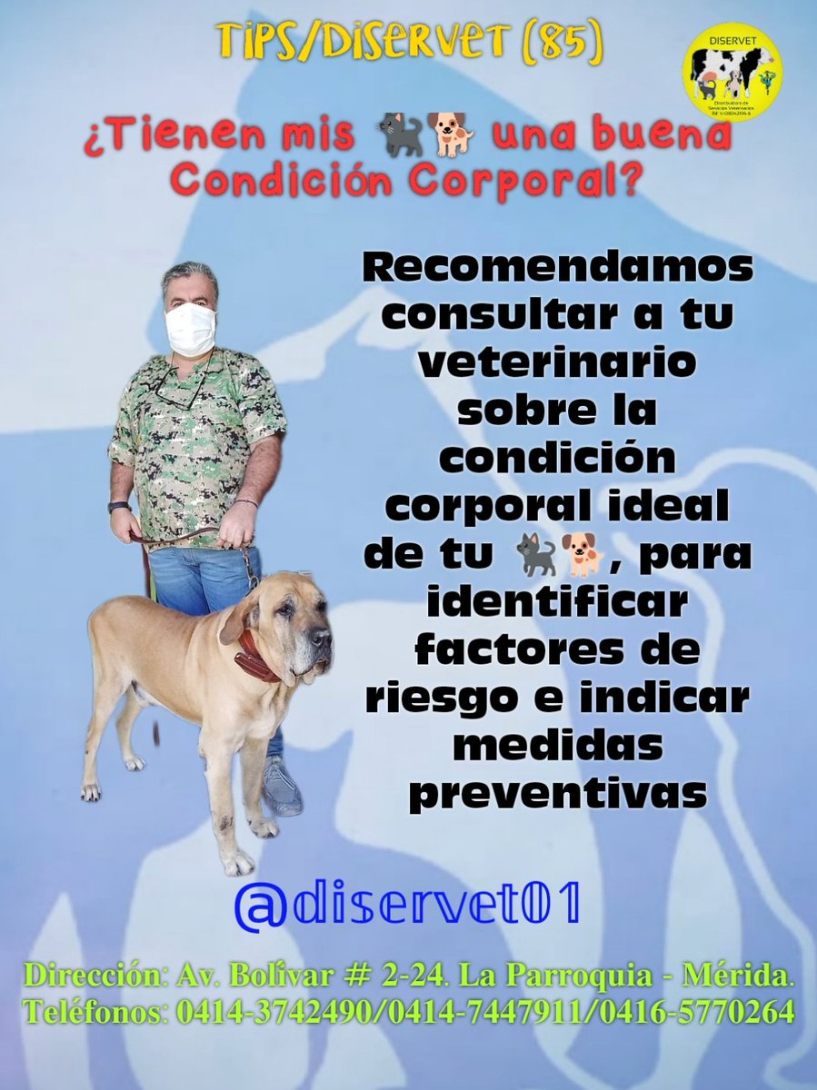 diservet01's tweet photo. 3️⃣Recomendamos consultar a tu veterinario sobre la condición corporal ideal de tu 🐈⬛🐕, para identificar factores de riesgo e indicar medidas preventivas
@diservet01 #TipsDiservet #condicioncorporal #petlovers
#consultaveterinaria @mvreinaldorivas https://t.co/tMszQ3Mpf0