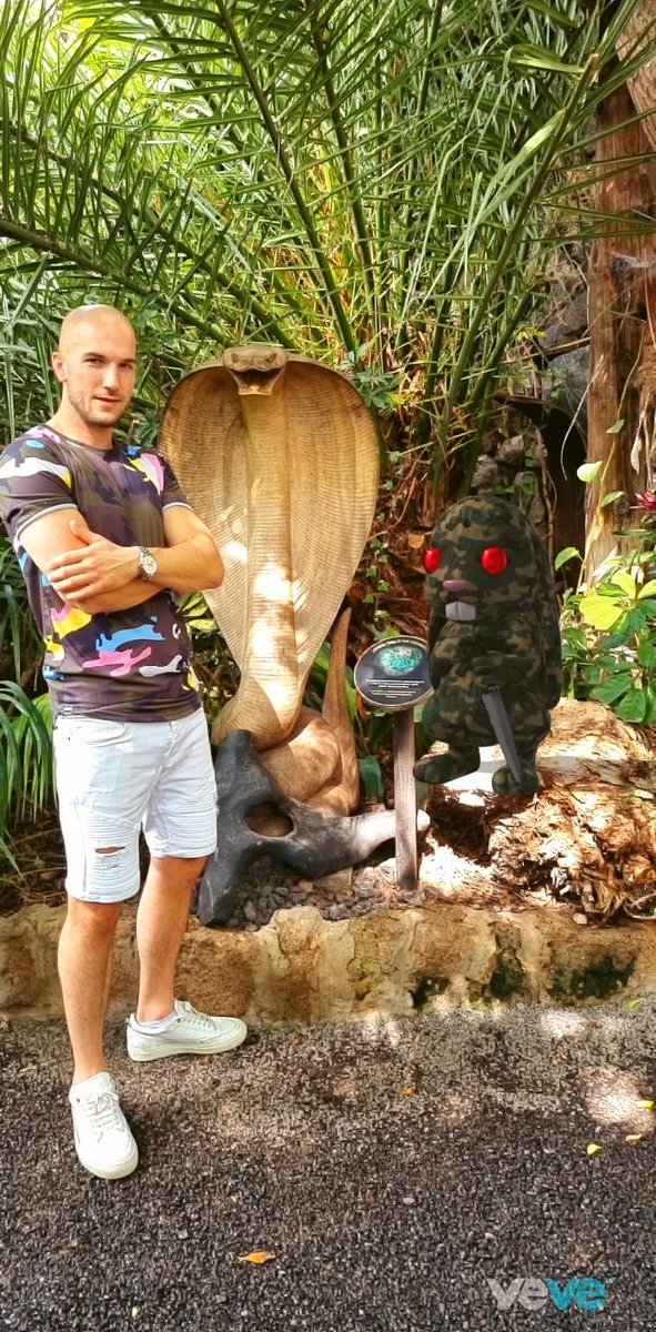 Just 3 apex predators camo'd out in the wild ...  Probably nothing ... 🤣🤣😅

#vevefam #veve
#jermainerogers