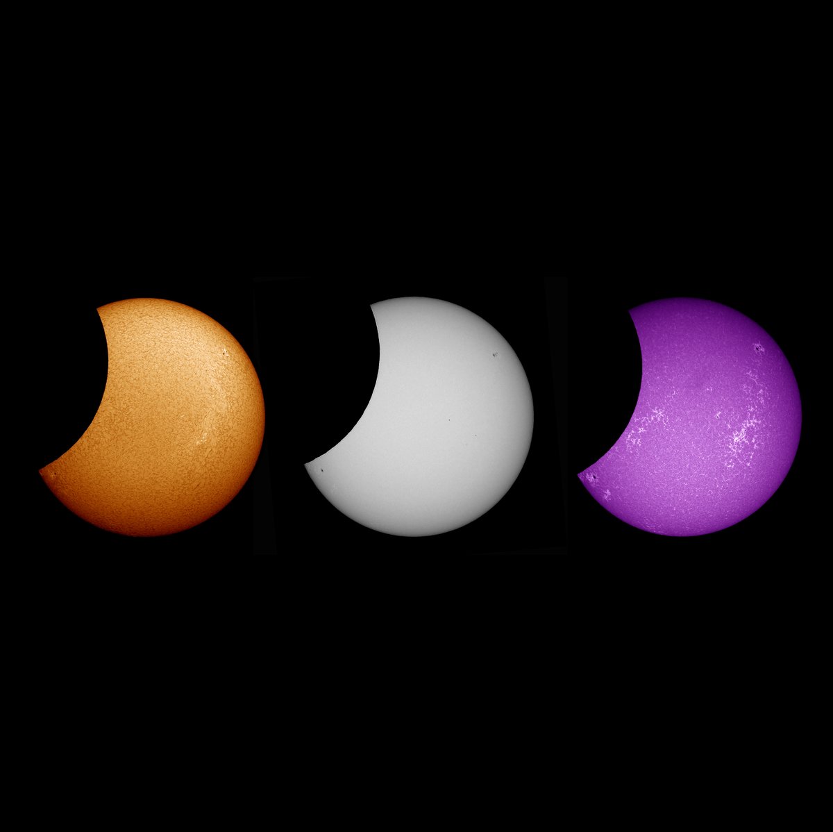 Aufnahmen der heutigen #Sonnenfinsternis im H-Alpha-Licht, Wießlicht und Kalzium-Licht, wie sie sich über dem #Schwarzwald zeigte.