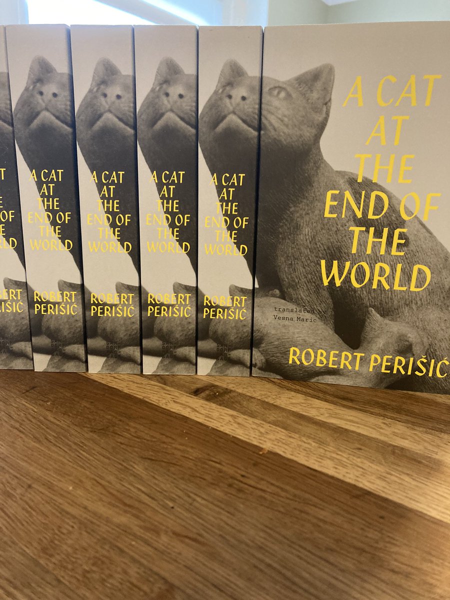 SandorfP's tweet photo. What’s better than one copy of A Cat At the End of the World? Many copies of the book. Cover design by Dejana Pupovac. https://t.co/dWLdmGuuMu