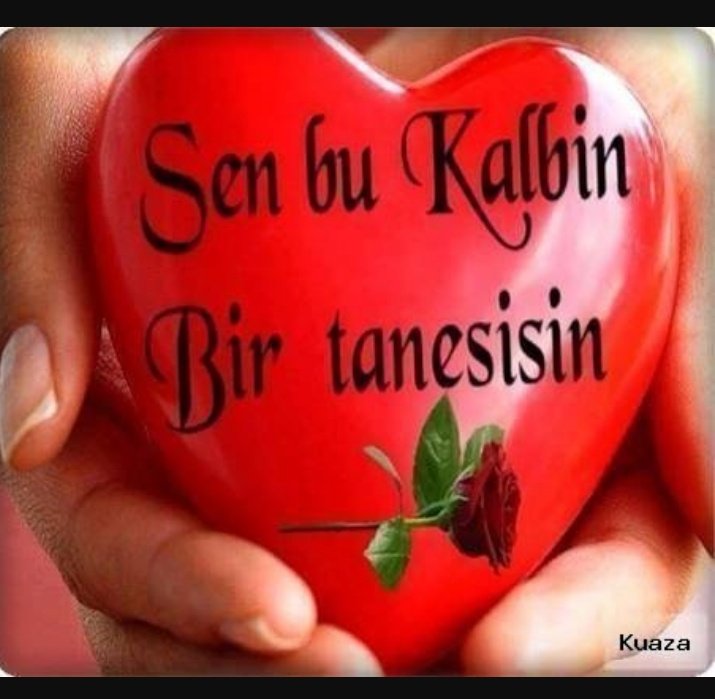 ferhatt68's tweet photo. https://t.co/igxtz6kRyu