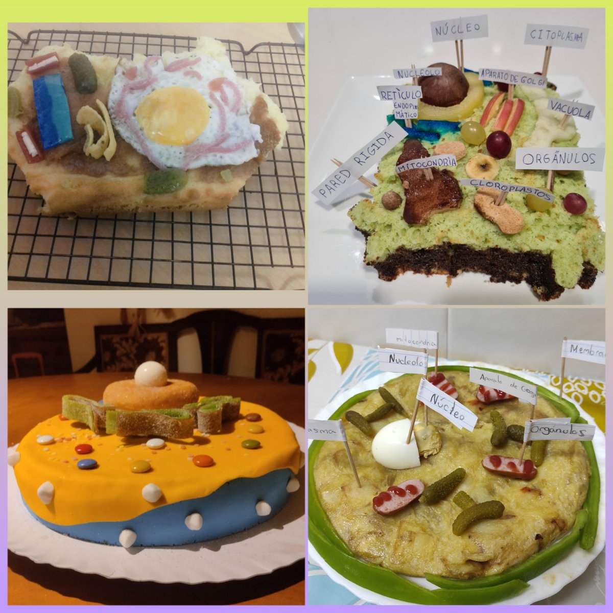 quiquesubi's tweet photo. 😋 Deliciosas maquetas de células.
A partir de una pizza🍕 con forma de célula vegetal, retamos al alumnado a hacer sus propias maquetas comestibles.
Han hecho tartas, bizcochos, tortillas... un gran trabajo del alumnado aprendiendo de forma diferente y divertida.😉
@imgende https://t.co/iWHQmcfm5D