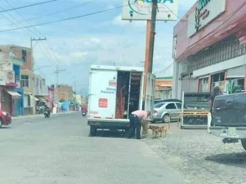 rogeliomtz75's tweet image. Este repartidor de BIMBO le da de comer a los perros de la calle. 👏👏👏👏👏