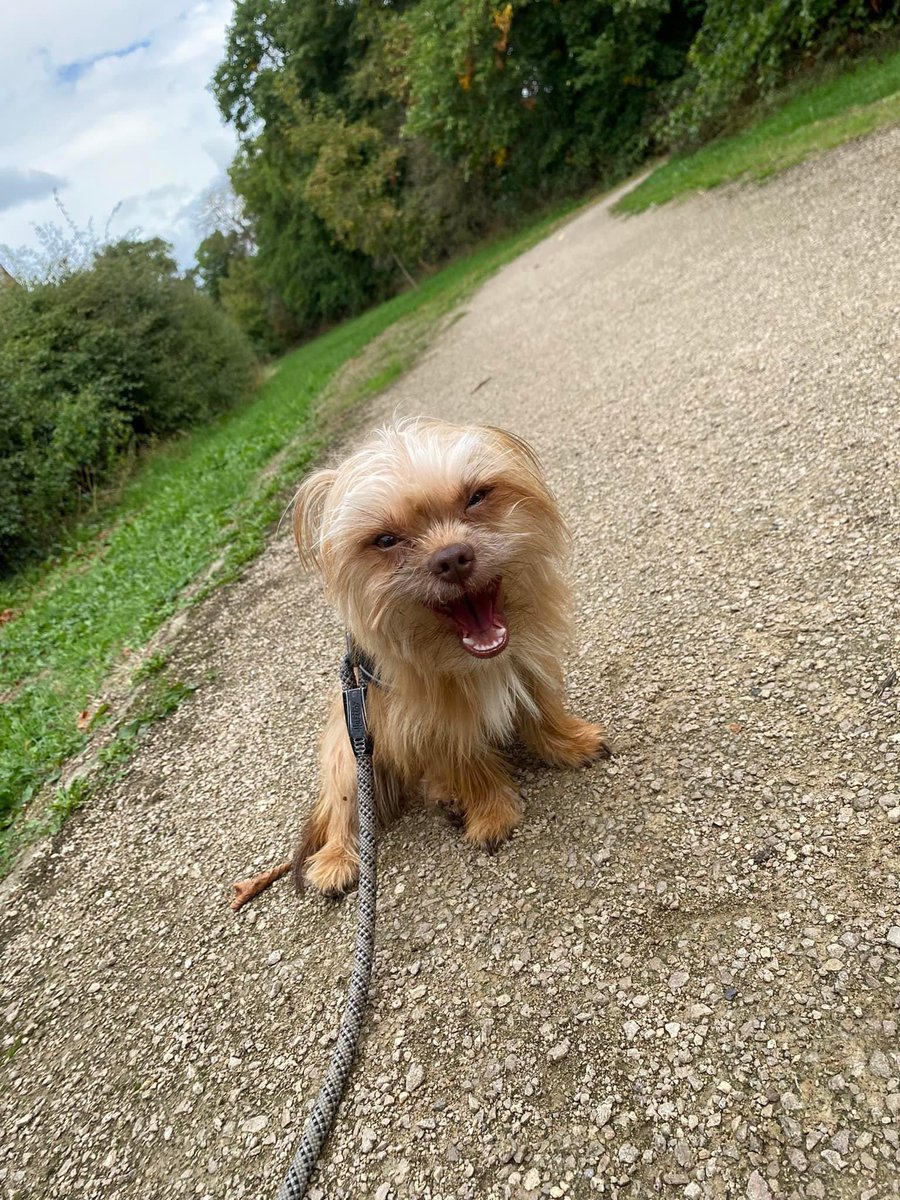 Such a happy little monkey ❤️