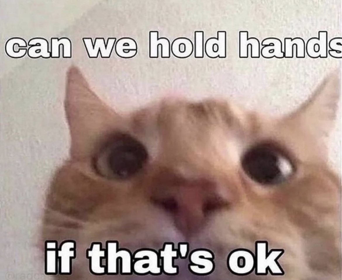 literallymecats's tweet photo. https://t.co/1vRr488UpP