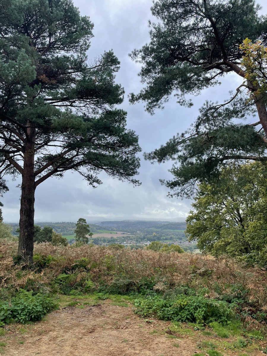 Delighted that walks with a view like this will be part of my placement days working with homelessness organisations #communityPsychology
