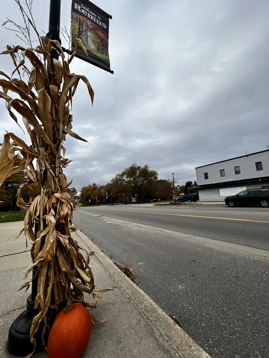 ZWheatonTV's tweet photo. Recreational marijuana is on the ballot in a number of northern Michigan communities including Wheatland Township in Mecosta County. Tune into my story tonight at 6 to find out why, four years after it’s legalization, the township is deciding to put it on the ballot. @9and10News https://t.co/Gf52TuFgyo