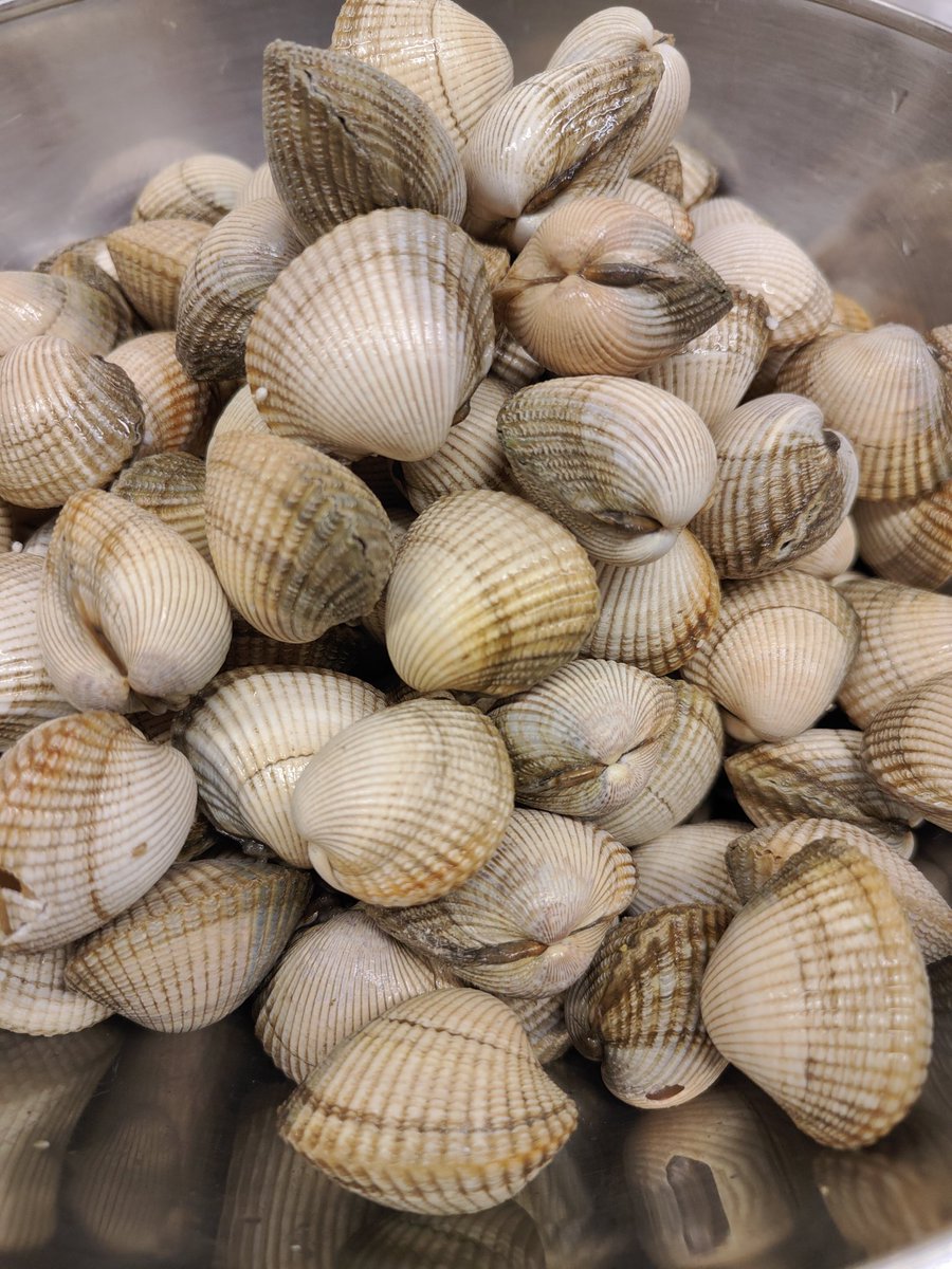 ¡Hoy toca planazo en <a href="/xeito1920/">Xeito1920</a>! 😋  Nos vamos a poner las botas en la inauguración de #MejillonOPMEGA con <a href="/ipuntodominguez/">iPuNTo</a> y <a href="/Miguelmosteiro/">Miguel Mosteiro diaz</a> 👨‍🍳 🐚. ¿Qué nos tendrán preparado? 🤤🤤🤤 <a href="/somosohmyword/">Oh My Word!</a> <a href="/gastrolabarousa/">Gastrolab Arousa</a> <a href="/loves_galicia/">Loves_galicia 🛰️ #fainoengalego</a> <a href="/Turvegal/">Turvegal</a>