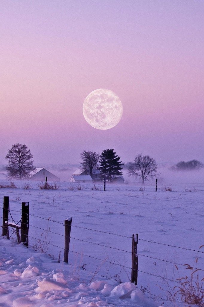 Winter Moon.