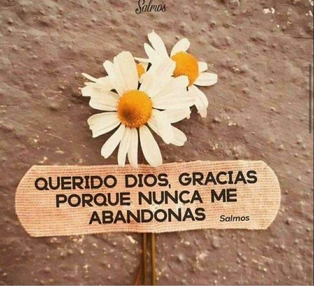 Gracias Gracias Gracias 💖
Feliz tarde.