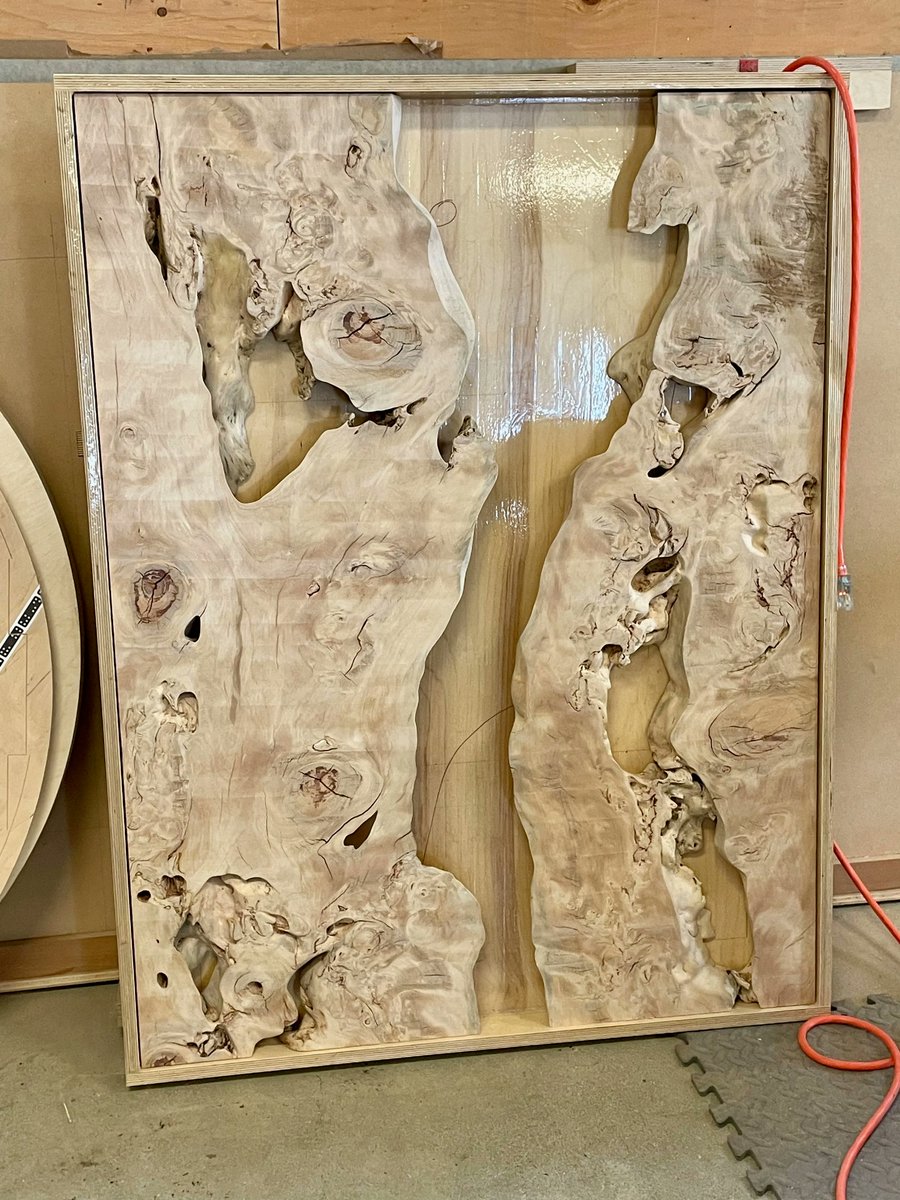 KeefriderCustom's tweet photo. Laying out the ocean table with some gorgeous Bunya Bunya https://t.co/ARTabMzNle