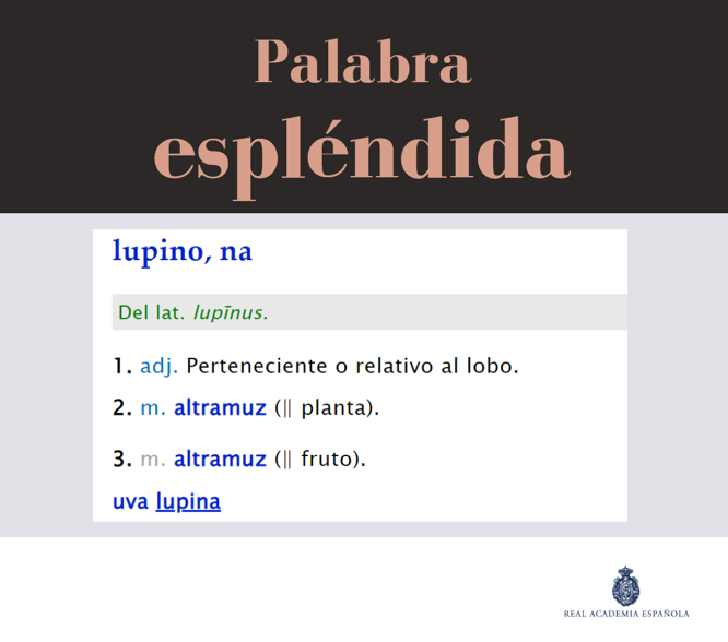 Se acercó con hambre y ferocidad «lupinos».
#desiderata #autora #palabra #escribir #escritor #contenido #escribo #ortografía #poeta #escritora #leer #estudiar #escritos #texto #libro #libros #escribirbien #LibrosRecomendados #FeriaDelLibro #diccionario #palabraespléndida