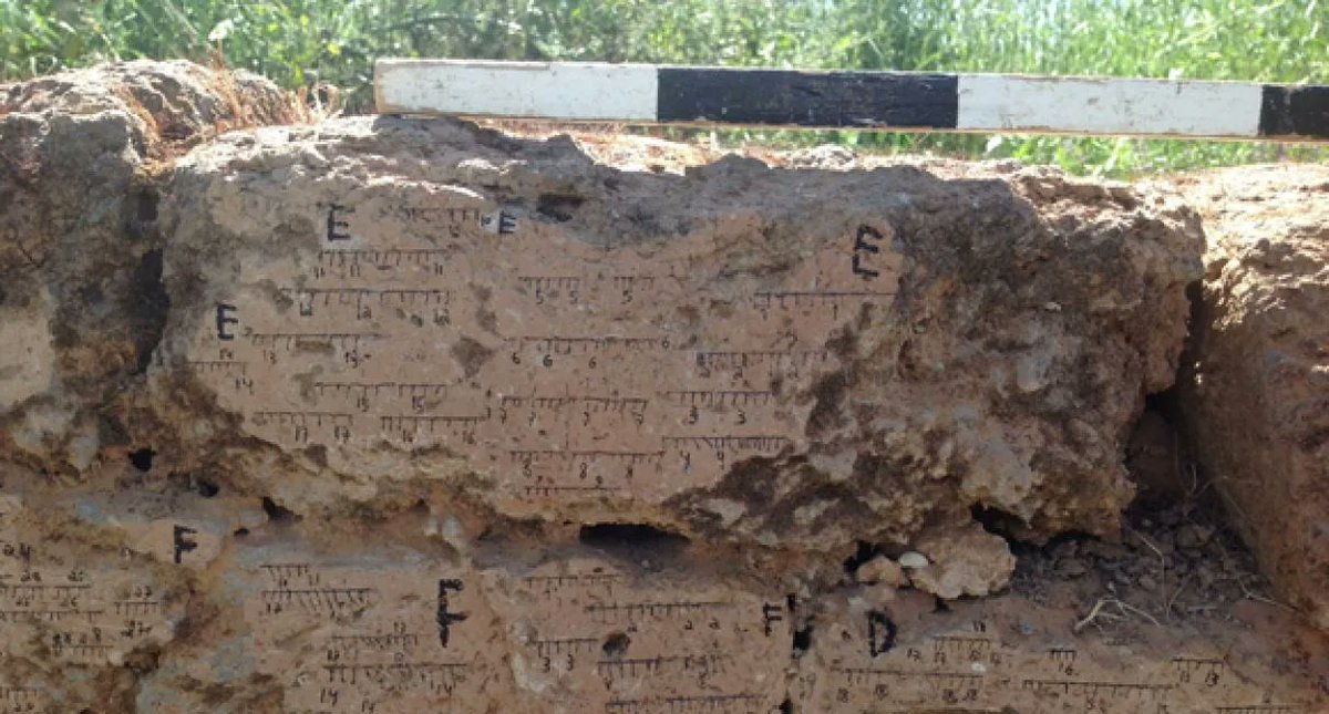 FreundeTAU's tweet photo. The Bible - Fact or Fiction? 
@TelAvivUni #Researchers confirm invasions of biblical Israel using geomagnetic fields  
https://t.co/Jj4a2DEXUp https://t.co/U9ajAaNH9b