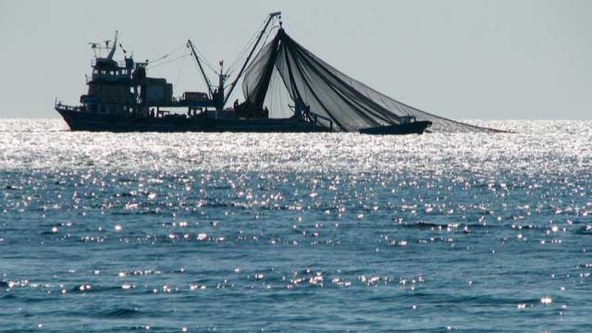 CirculoPA's tweet photo. Organizaciones ambientales piden la sanción de una ley nacional de trazabilidad de la pesca y la acuicultura como herramienta para la lucha contra la pesca ilegal y el  fraude en los productos del mar https://t.co/Ro2MIxoOa6 https://t.co/Z8dUqtvQIv