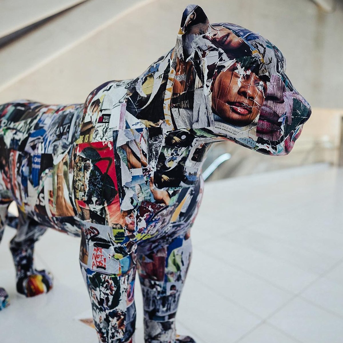 Jaguar Parade tweet media