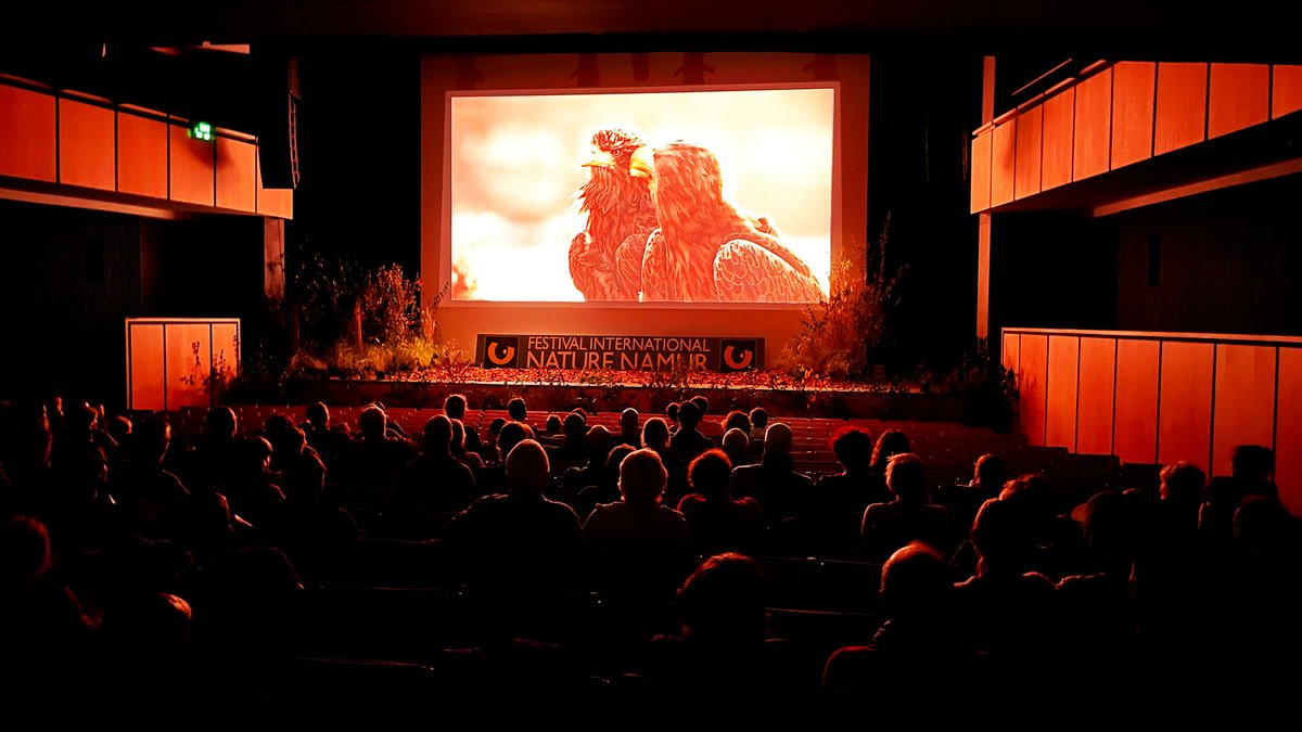 [NAMUR] Retour en image sur la projection de Méditerranée qui a eu lieu samedi dernier au Festival International Nature de Namur. Merci encore aux spectateurs qui sont venus nombreux pour voir le film ! #documentaire #sciences #Méditerranée #mer #festivalnaturenamur