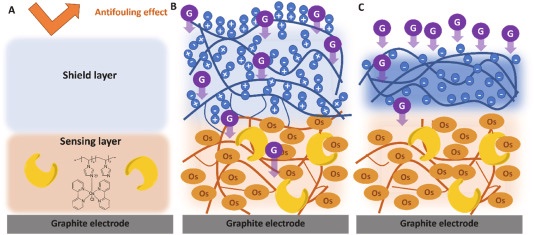 Garry P. Duffy (@gduffy00) on Twitter photo 🎯Our latest collaborative paper led by Kavita Jayakuman with Prof. Dónal Leech's team & linked to the <a href="/ImplantSens/">ImplantSens</a> project. <a href="/DDomingolpz/">Daniel Domingo</a> & <a href="/Ruth_Levey/">Ruth Levey</a> helped assess the ability of a new zwitterionic coating to reduce fibroblast attachment.
Link 👇
sciencedirect.com/science/articl… 🎯Our latest collaborative paper led by Kavita Jayakuman with Prof. Dónal Leech's team & linked to the <a href="/ImplantSens/">ImplantSens</a> project. <a href="/DDomingolpz/">Daniel Domingo</a> & <a href="/Ruth_Levey/">Ruth Levey</a> helped assess the ability of a new zwitterionic coating to reduce fibroblast attachment.
Link 👇
sciencedirect.com/science/articl…