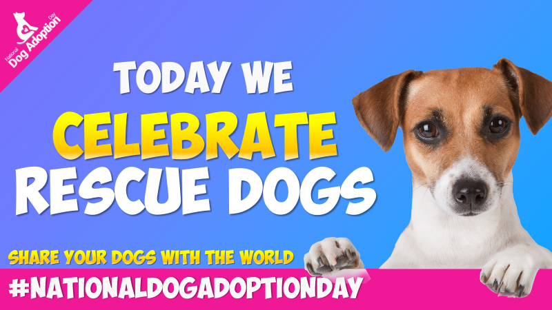 dogadoptionday's tweet photo. ＊ @MrFriendlyHappy ＊ Hi - today is National Dog Adoption Day and we'd be really grateful if you'd be kind enough to tweet the #nationaldogadoptionday hashtag to help raise awareness.
Thank you!
.
#nationaldogadoptionday https://t.co/p3RGUykfXj