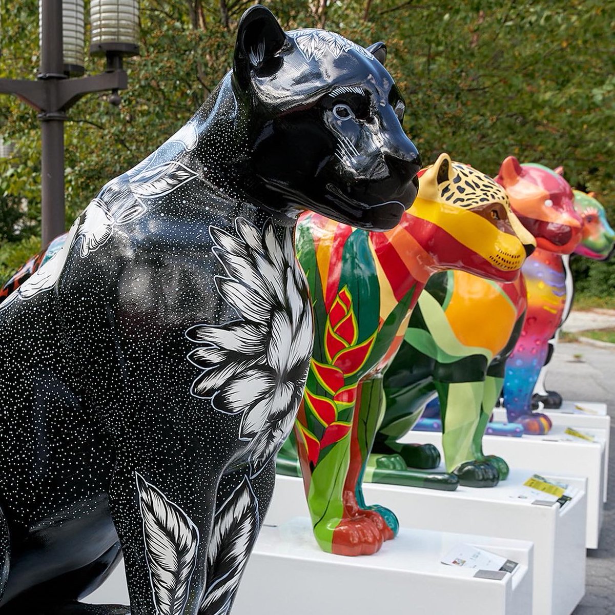 Jaguar Parade tweet media