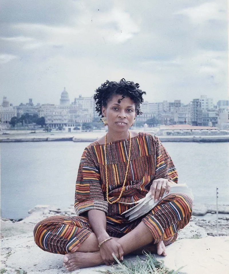 Theory without practice is just as incomplete as practice without theory. The two have to go together. -Assata Shakur