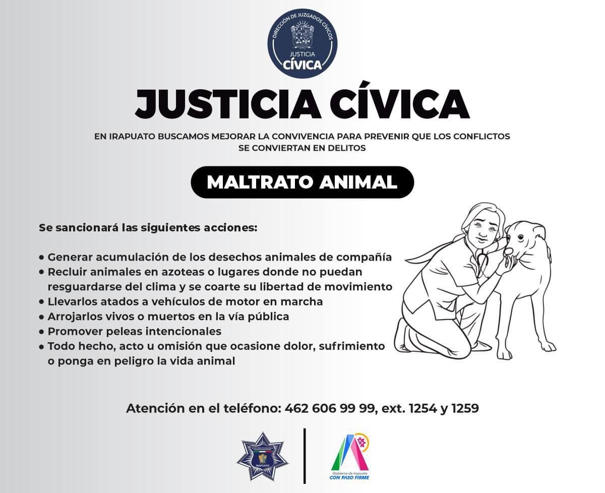 Para que prevalezca una sana convivencia en nuestra ciudadanía, con la #JusticiaCívica atendemos faltas al reglamento Para la Tenencia y Protección de Animales de Compañía del Municipio de #Irapuato . 🐶 Comunícate al ☎ 462 606 99 99 ext. 1254 y 1259 #TrabajamosPorTuSeguridad