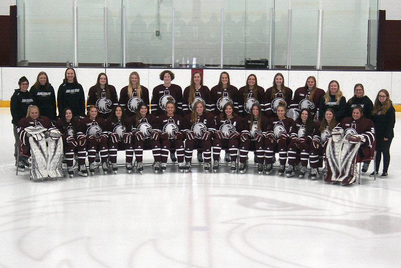 AugsburgWHockey's tweet photo. Your 2022-2023 AUGGIES!! https://t.co/weBjtIdEiI