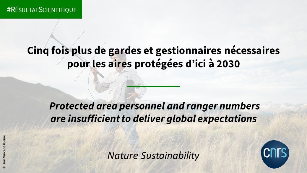 #RésultatScientifique 🔎 Une récente étude montre qu'il faudrait multiplier par 5⃣ le nombre de gardes et de gestionnaires afin d'atteindre les objectifs de protection et de services écosystémiques des aires protégées. ➡️inee.cnrs.fr/fr/cnrsinfo/ci… 📕doi.org/10.1038/s41893…