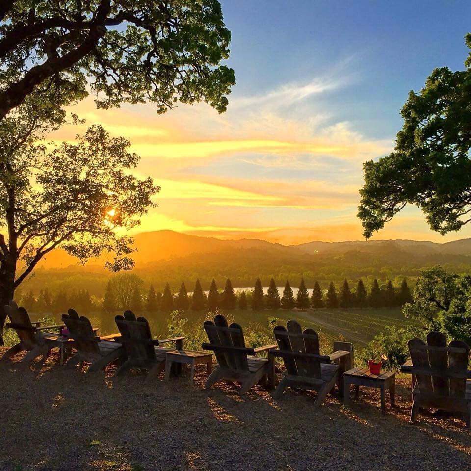 HyattRegencySWC's tweet photo. Wine country at it’s finest. 🍷#HyattSonoma #WineTime https://t.co/YWDkBiVg95