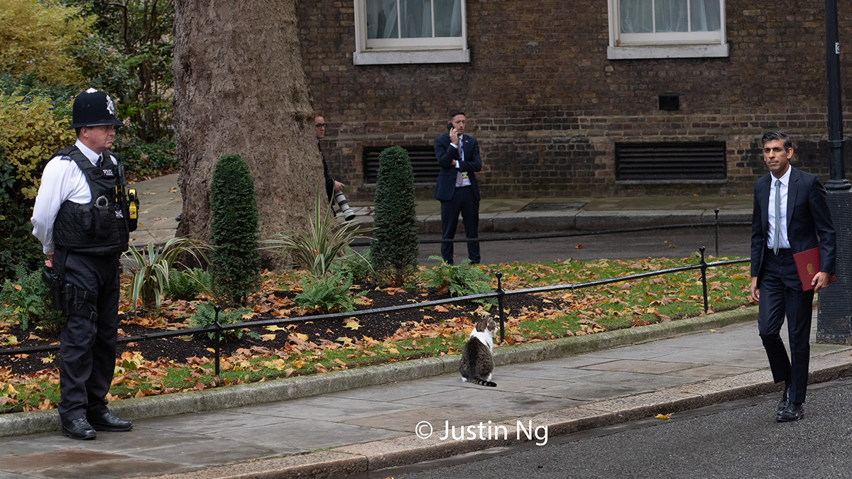 justin_ng's tweet photo. So @Number10cat hilariously stood at the door, did a stand off with the custodian before going down the street. this was literally a minute before new PM was due and ended up watching him walk up the street. https://t.co/gWVhNYAsI2