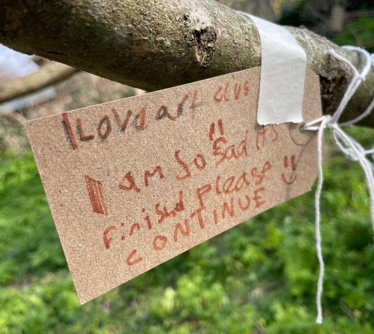 Cambridge Curiosity and Imagination tweet media