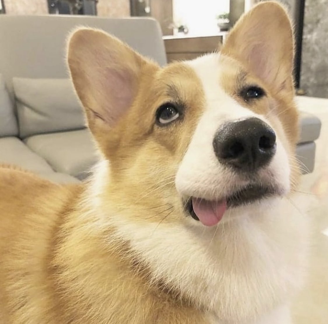 PAVGOD's tweet photo. current mood https://t.co/WahkJzlyJY