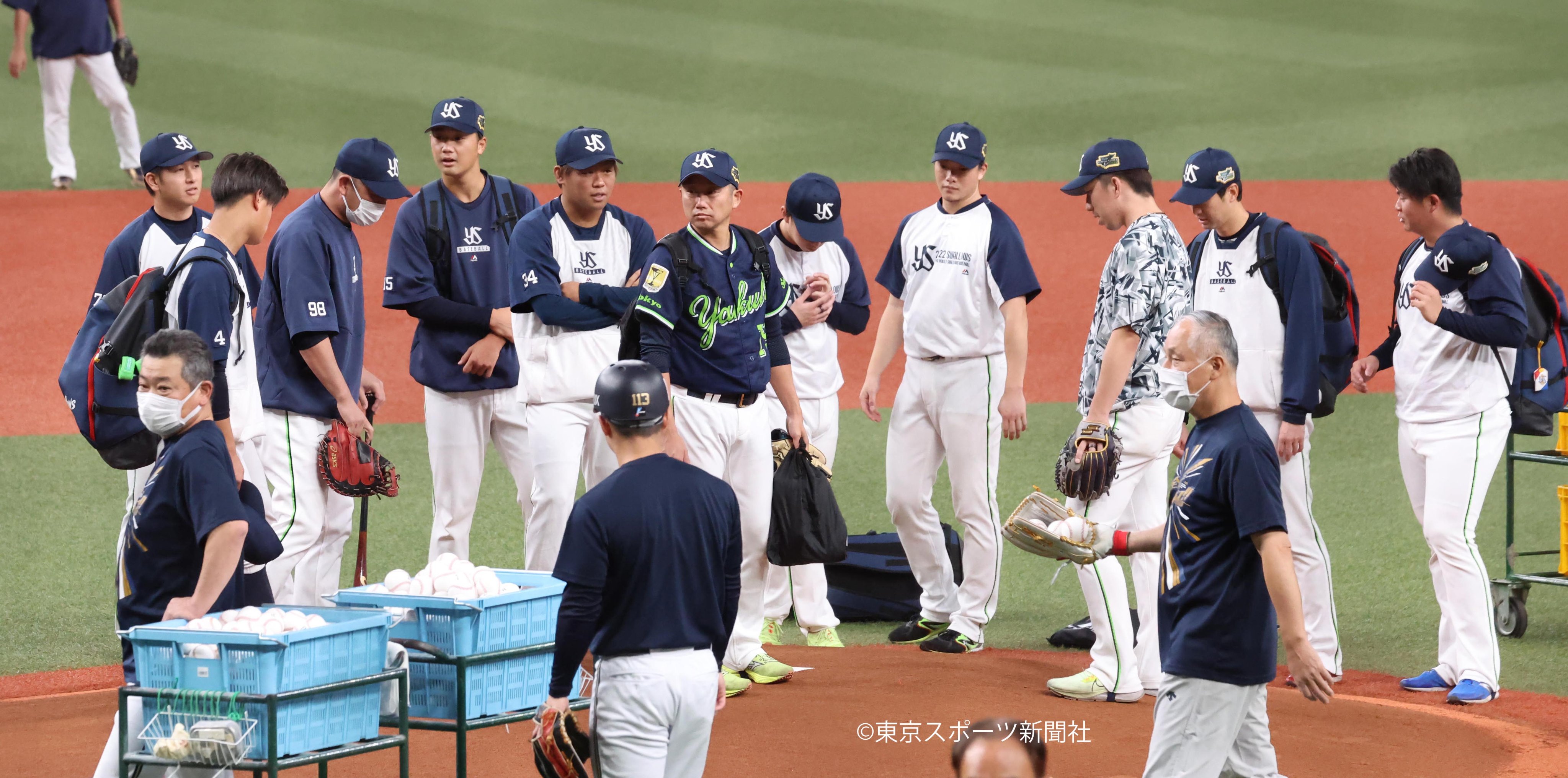 ヤクルトスワローズ
