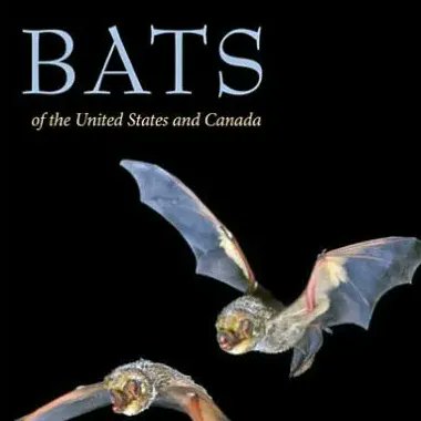 usflibrary's tweet image. 🦇 It's #BatWeek! 
💡 Five things you can do to celebrate:
Visit batweek.org
Make a #BatCraft buff.ly/3TykhMA 
Listen #BatSounds buff.ly/3TRY0sU 
Check out this podcast episode buff.ly/3D3Hpvo 
Read buff.ly/3N0qWNe