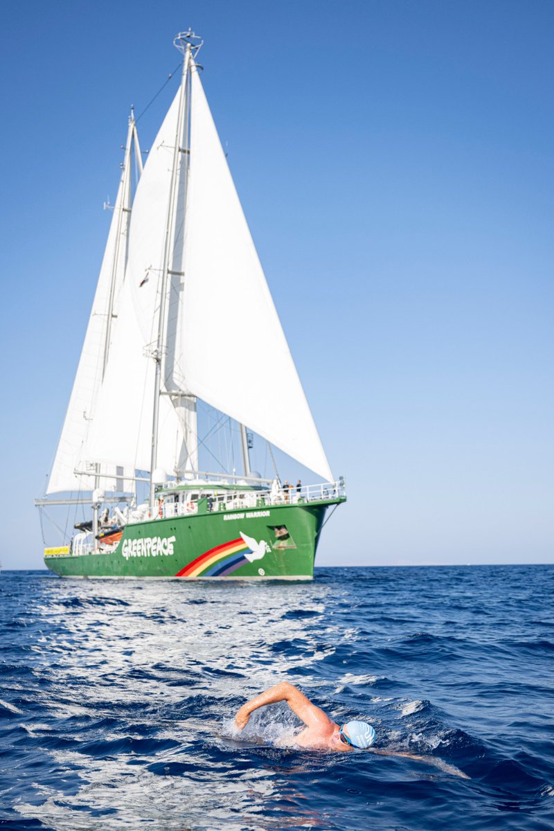 Today, the Rainbow Warrior paid the team a visit on the #CoralSwim! The legendary <a href="/Greenpeace/">Greenpeace International</a> ship is currently sailing around Egypt with young climate leaders from Africa and the Middle East to put climate justice high on the agenda at #COP27 🛳️🌈🌍