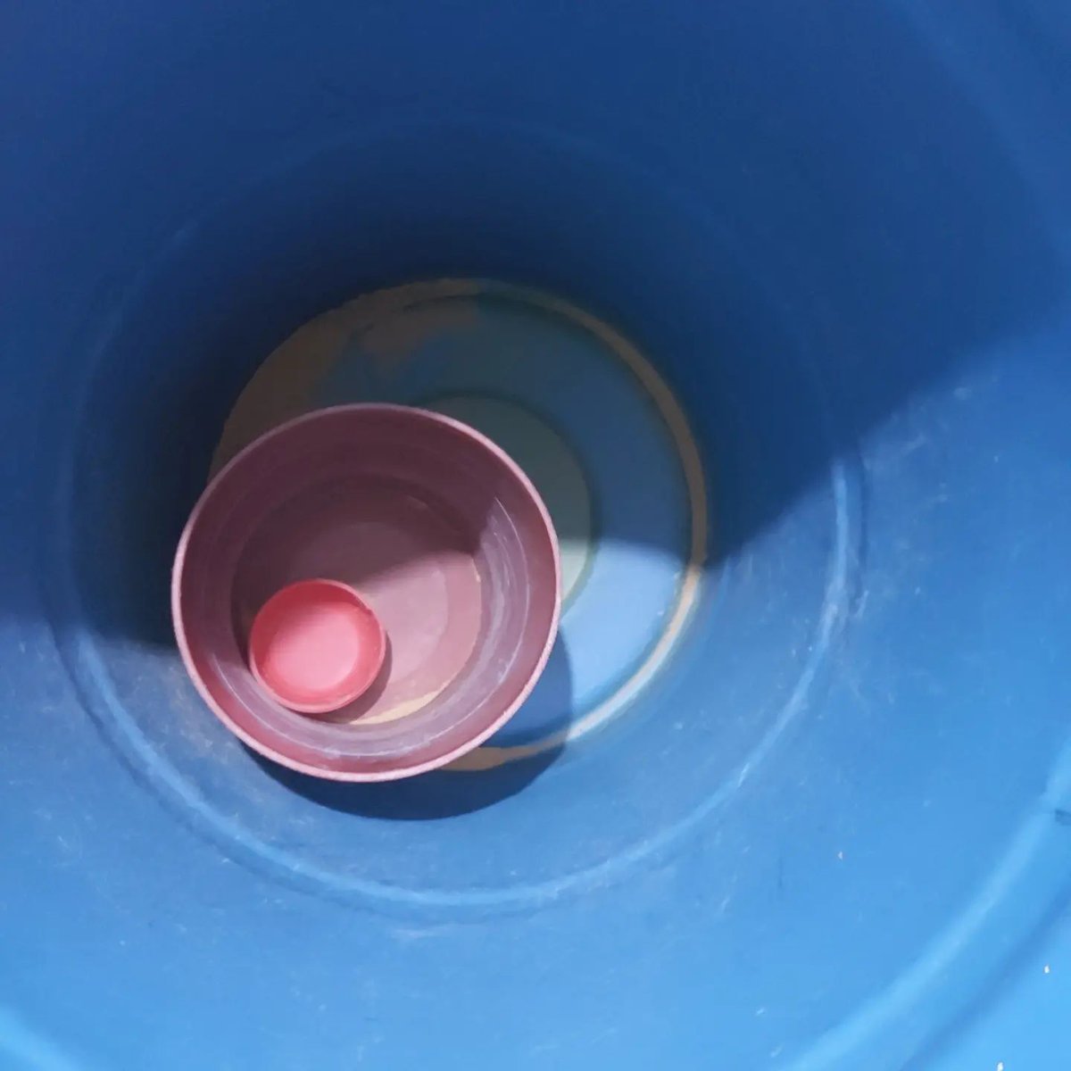 🚨🚨Emergency 🚨🚨

My people who can support us for the purchase of food from the Shelter 🆘

10 / bags of perrarina🐕

3 / kitty entourage🐈

perrarina bags $ 25 each 🙏

cat bags $ 20 each 🙏

Do you support us? Remember $275

paypal.me/refugiorescue