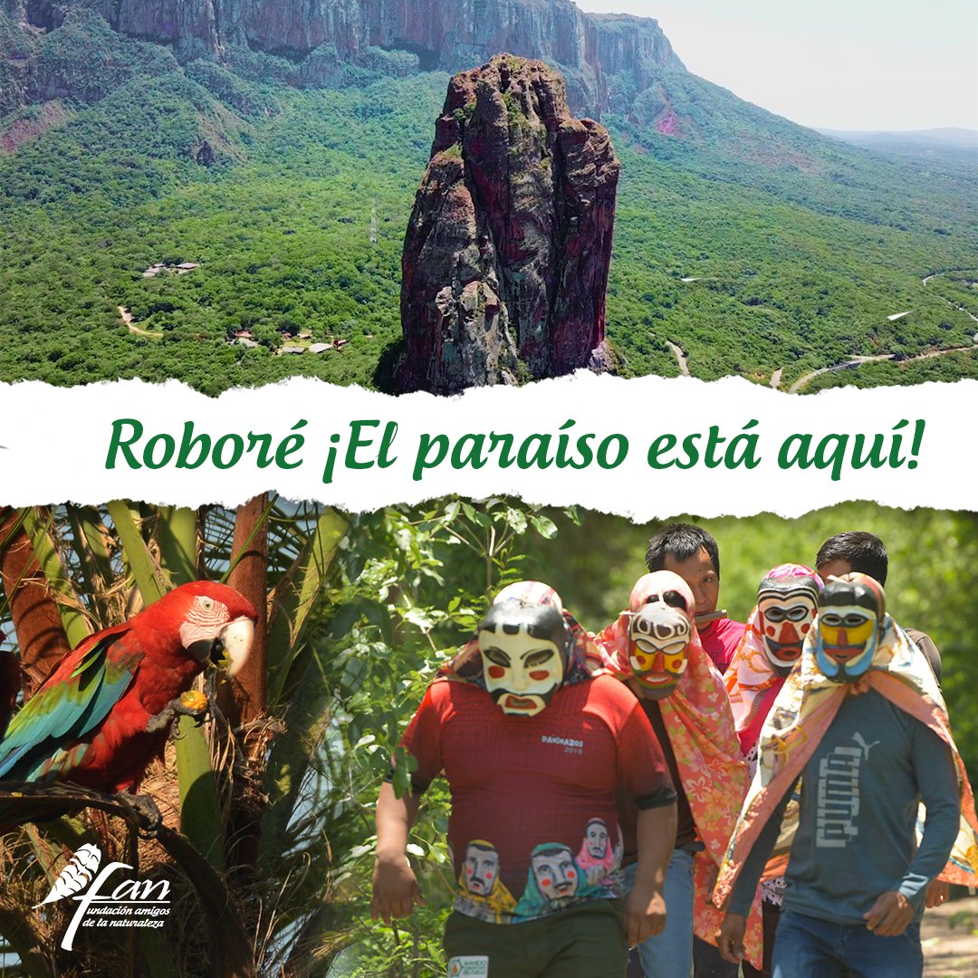 FAN_Bolivia's tweet photo. Hoy 25 de octubre, #Roboré celebra 106 años de su fundación. Un lugar mágico de cultura, historia, naturaleza, biodiversidad. Nos sentimos honrados y agradecidos de aportar cada día a la conservación de su patrimonio natural. 
¡Felicidades Roboré!
📸📸 FAN / S.Reichle https://t.co/YYZSmmsNL9