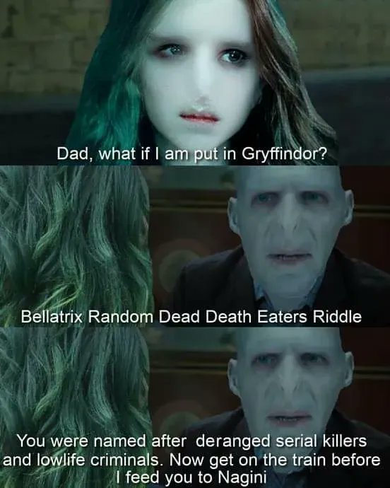 MuggleNet's tweet photo. Naming your child after criminals is an honor, isn't it?
#MuggleNet #HarryPotter https://t.co/OBVzeQKsM0