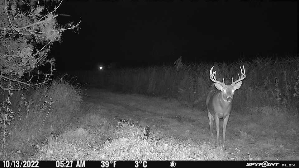 This looks like a great spot to hang a stand! 😉 📸: Limitless Outdoors Photography #spypoint #trailcamera #trailcam #whatgetsyououtdoors #gamecamera #trailcams #whyispypoint #trailcameras #deer #spypointflex #whitetail #whitetaildeer #deerseason #gametrail