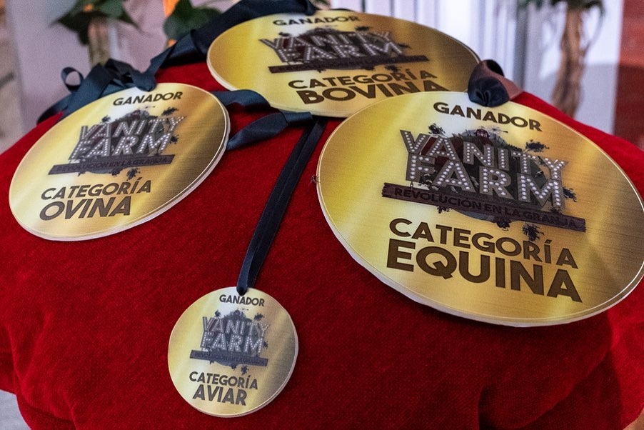 aragontv's tweet photo. ¿Qué animales serán los ganadores de #VanityFarm? 

Estamos en la última semana de competición 🥇🥈🥉

¡Vota por tu favorito! 👇
🌐 https://t.co/6fSjBmsnjj https://t.co/UzDcdfNeHI